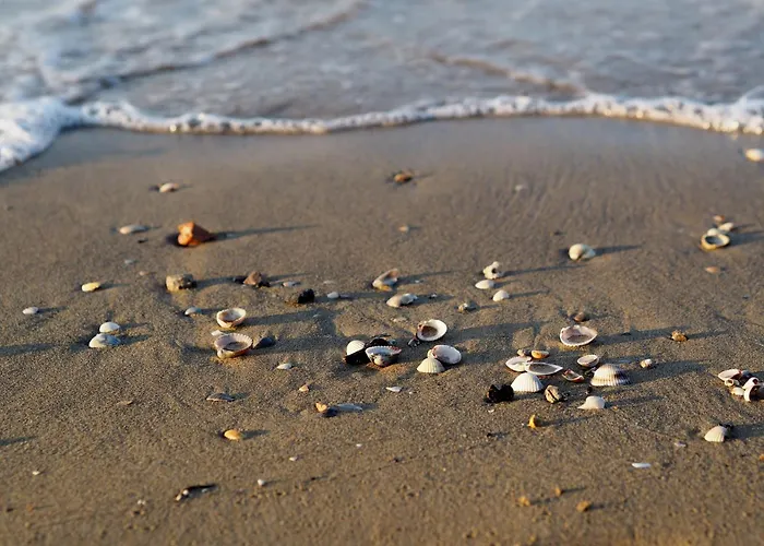 Pool And In Lejlighed