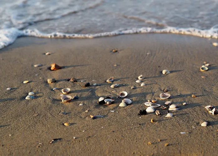 Pool And In Lejlighed